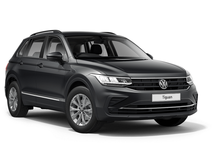 Volkswagen Tiguan Серый 